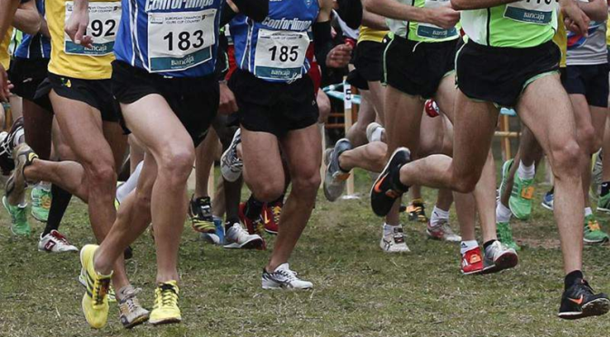 Algarvios lamentam ausência do Crosse das Amendoeiras