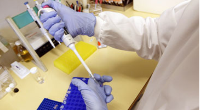 Bactéria resistente aos antibióticos tem um ‘calcanhar de Aquiles’