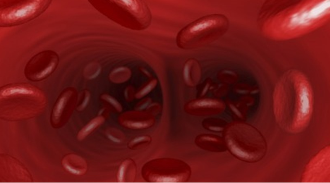 O Que é o Colesterol?