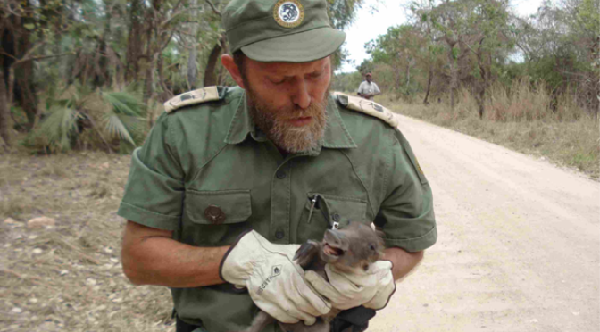 Luta contra caça furtiva reacesa em Moçambique após detenção de jornalistas