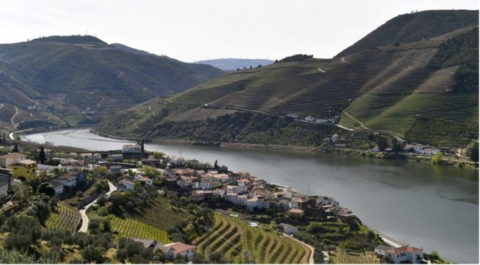 Homem simula sequestro no rio Douro por receio dos patrões e após noite de copos
