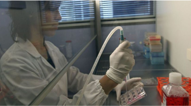 O tratamento de “lesões desportivas” com células estaminais é o futuro que começa hoje