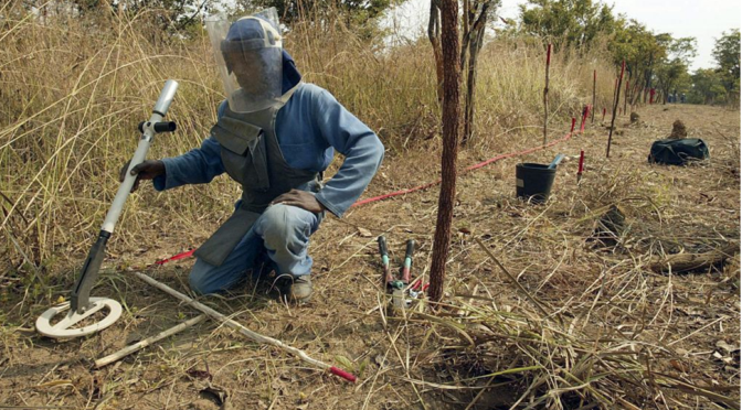 246 milhões de dólares é o preço da guerra para ter Angola sem minas