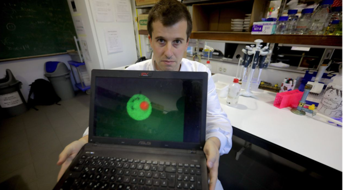 Cientistas testam resposta ao cancro com arte, música e gastronomia