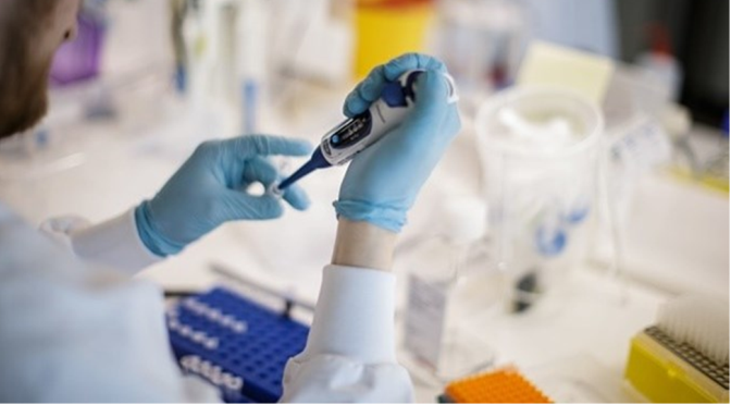 Grupo de cientistas une-se para criar eficaz resposta à pandemia