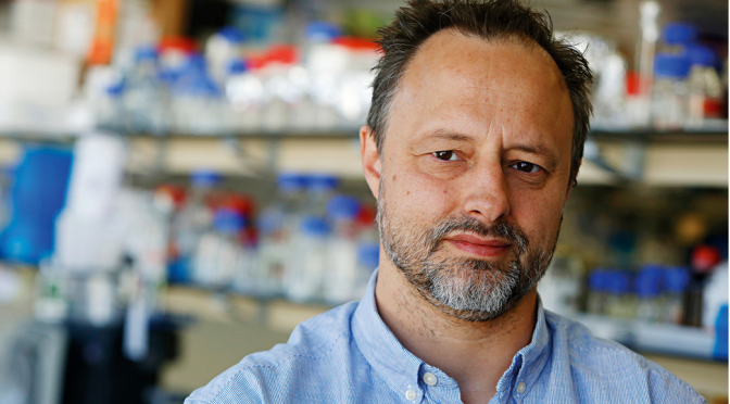 Português lidera equipa que testou o potencial de uma nova vacina contra a malária e com excelentes resultados