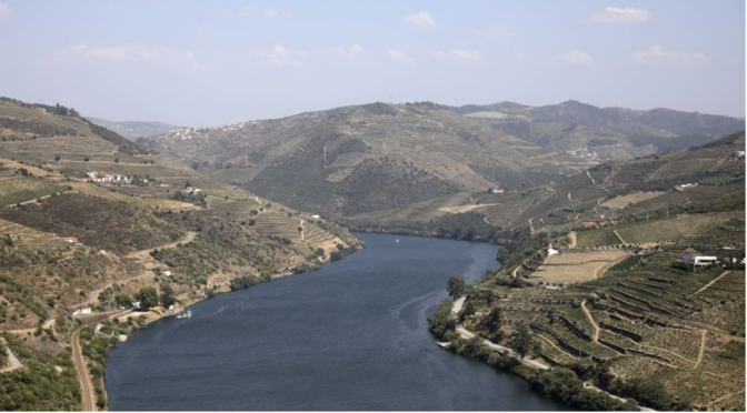 Parceria Ibérica quer fazer do rio Douro a “espinha dorsal” de um destino turístico de qualidade no Norte de Portugal