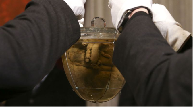 Porto autoriza transladação temporária do coração de D. Pedro IV para o Brasil onde se associará às celebrações da independência deste país que este ano comemora o Segundo Centenário