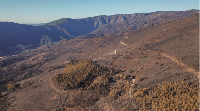 A Rewilding Portugal já fez a apresentação de propostas para a recuperação da Serra da Estrela